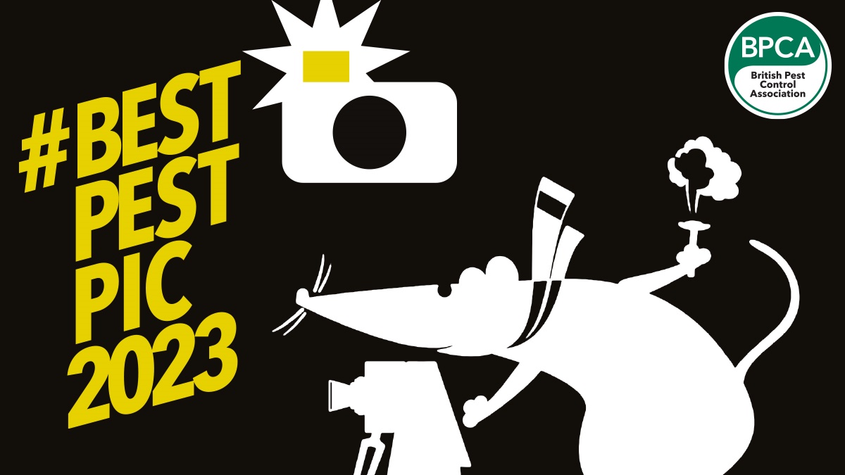 best pest pic 2023 best pest pic 2023
