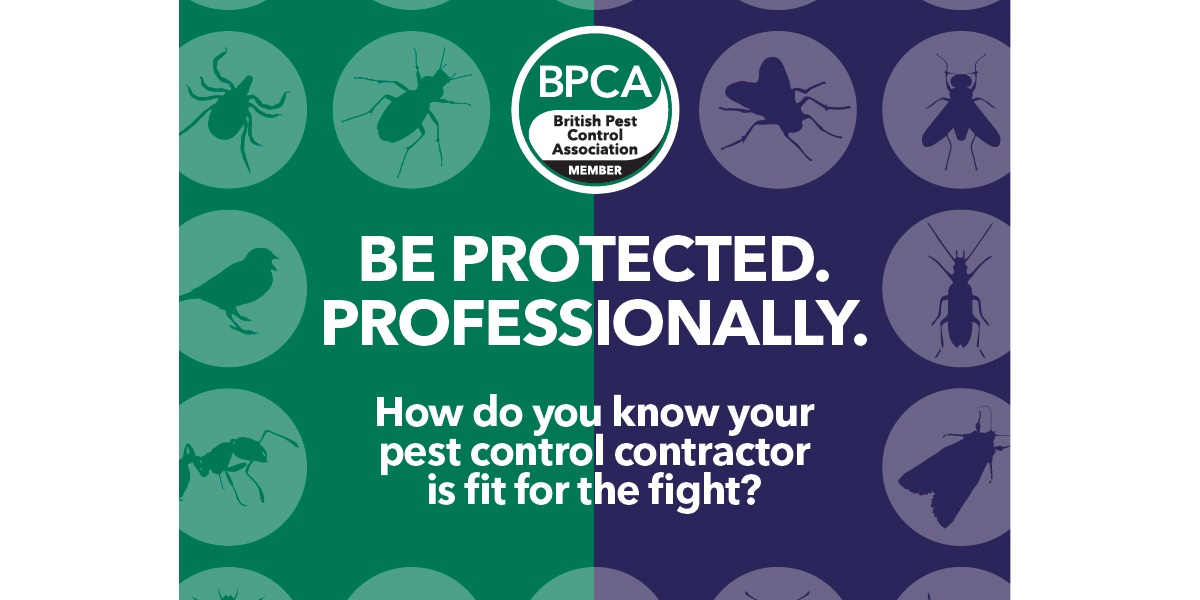 Be Protected professionally BPCA member