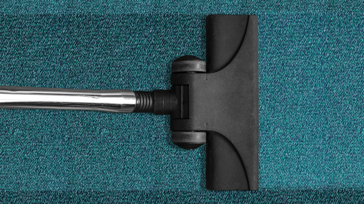 Vacuum Fleas love to hide in carpet fibres, so vacuuming often helps keep infestations under control.